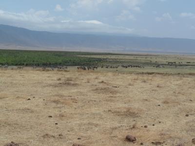 Nationalpark Ngorongoro Krater